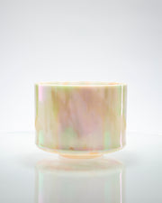 Mt. Shasta Serpentine, Sedona Red Rock & Platinum Alchemy™ Crystal Tones® Singing Bowl 9" D-15