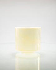 Lemon Angel Gold (Transcendent) Alchemy™ Crystal Tones® Singing Bowl 7" G#-40